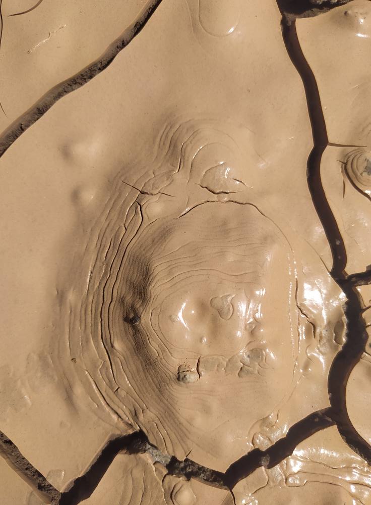      الخطوط الكنتورية 